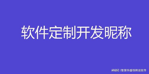 中國(guó)軟件外包服務(wù)市場(chǎng)格局與領(lǐng)先企業(yè)解析